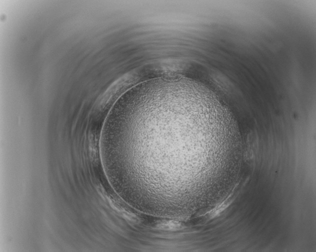 X0000055980140200508261708