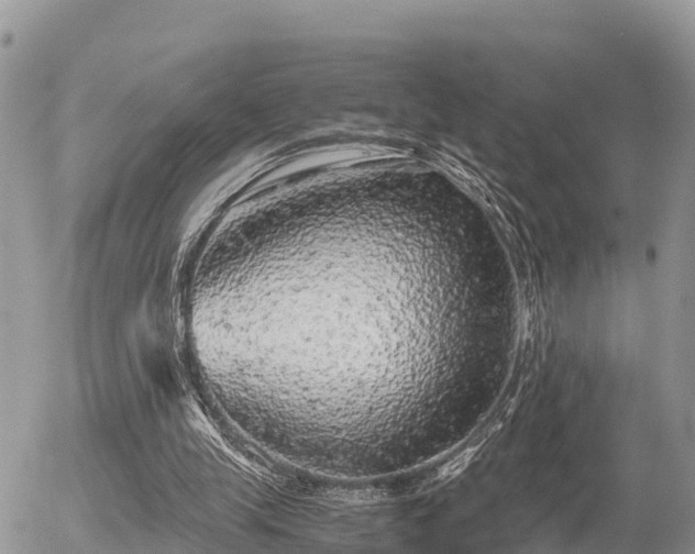 X0000055980245200508261706