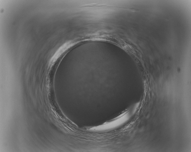X0000055980295200508261705