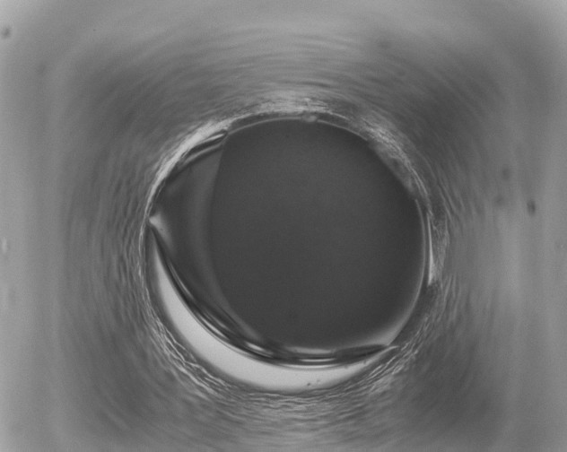 X0000055980387200508261704