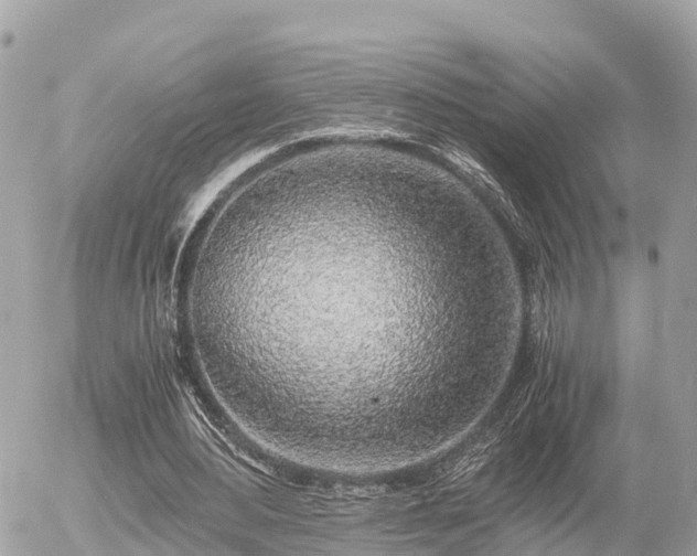 X0000055980484200508261702