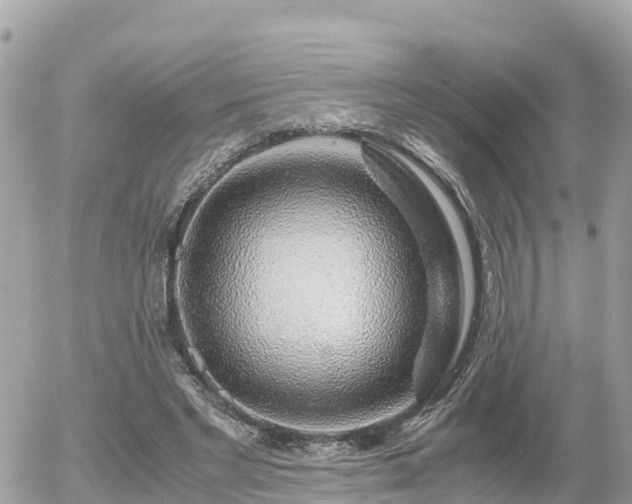 X0000055980493200508261702