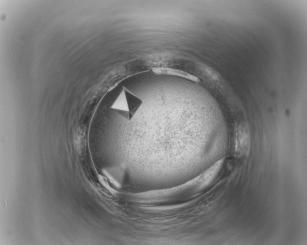X0000055980601200508261700