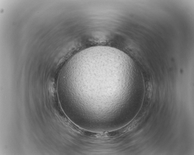 X0000055980612200508261700