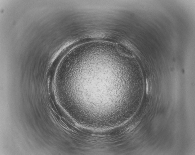 X0000055980723200508261658