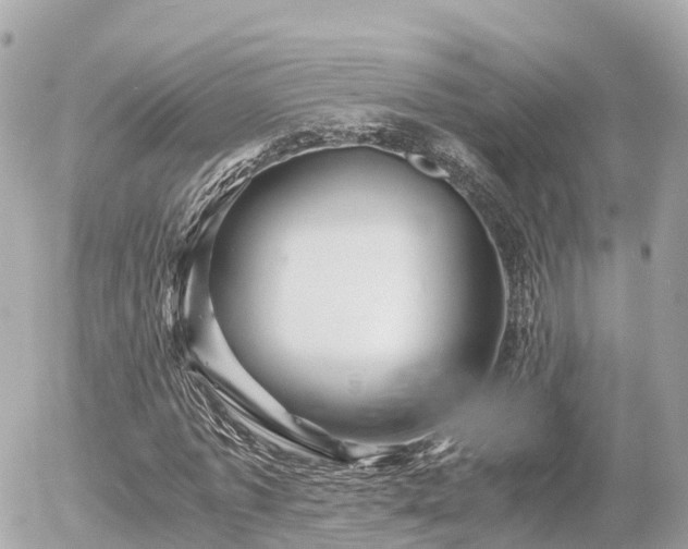 X0000055980773200508261658