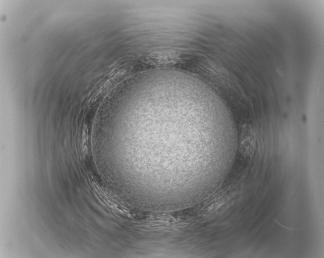 X0000055980866200508261656