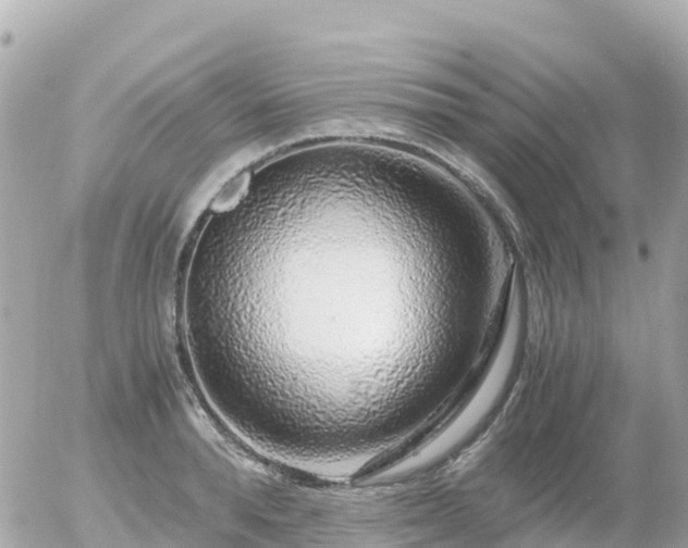 X0000055980896200508261656