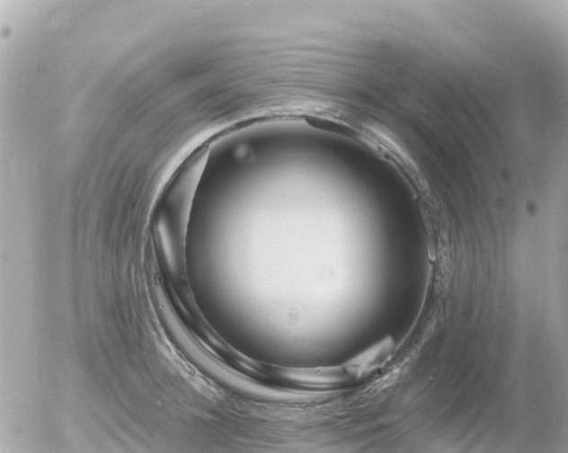 X0000055980948200508261655