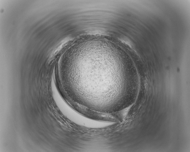 X0000055980968200508261654