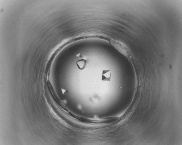 X0000055981134200508261652