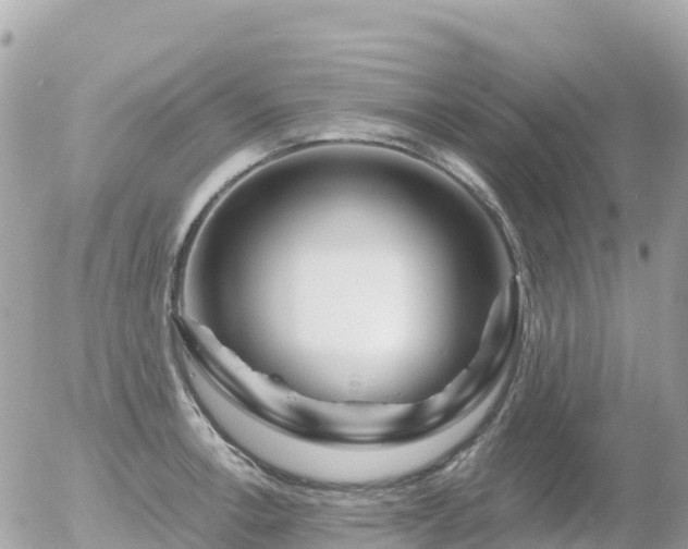 X0000055981138200508261652