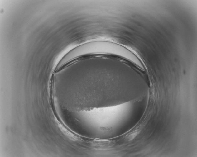 X0000055981151200508261652