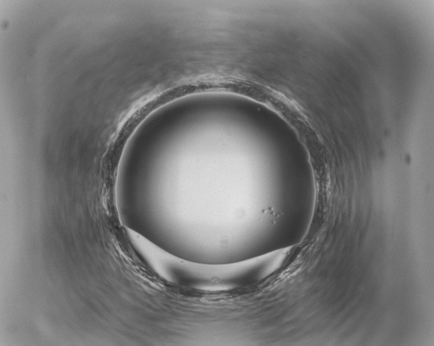 X0000055981160200508261651