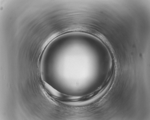 X0000055981242200508261650