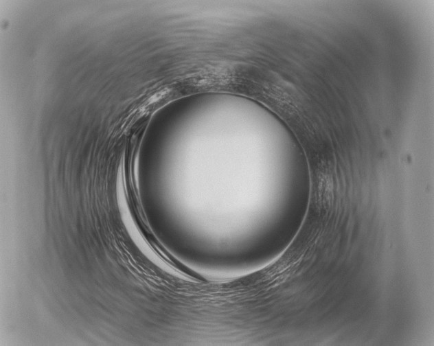 X0000055981250200508261650