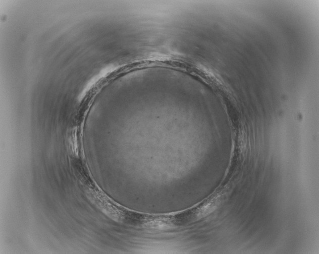 X0000055981262200508261650