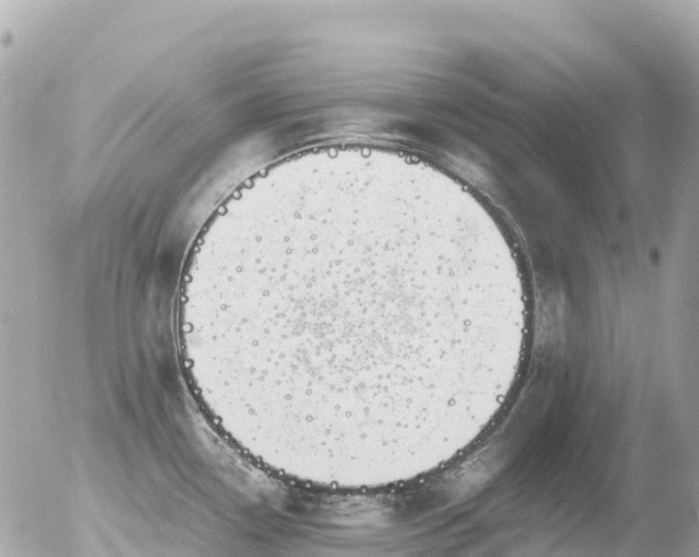 X0000055981338200508261649