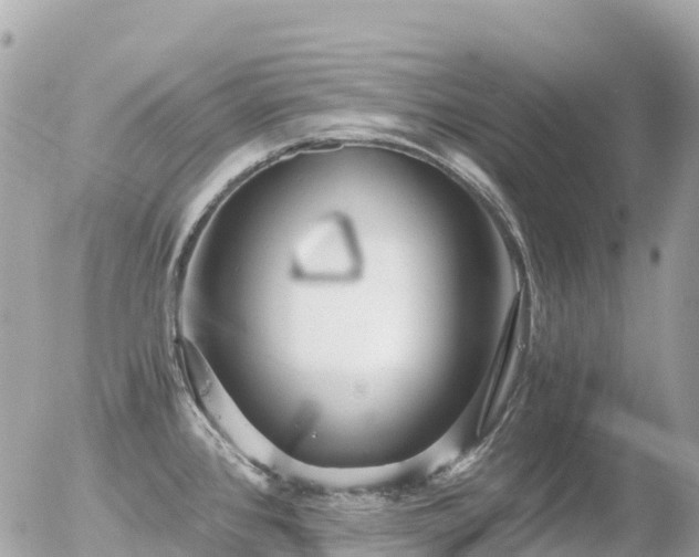 X0000055981384200508261648