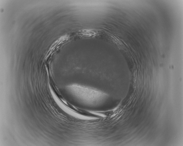 X0000055981394200508261647