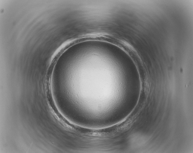 X0000055981412200508261647