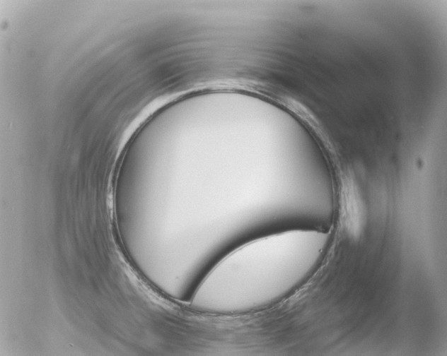 X0000055981428200508261647