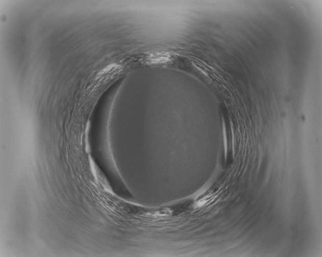 X0000055981441200508261647
