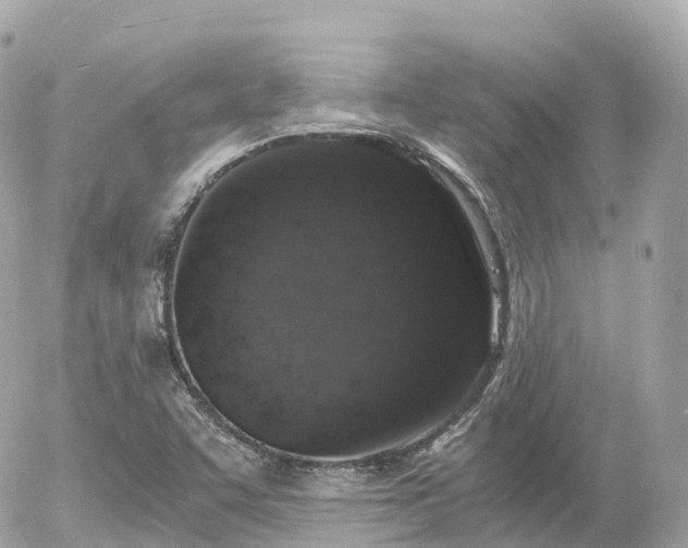 X0000055981455200508261646