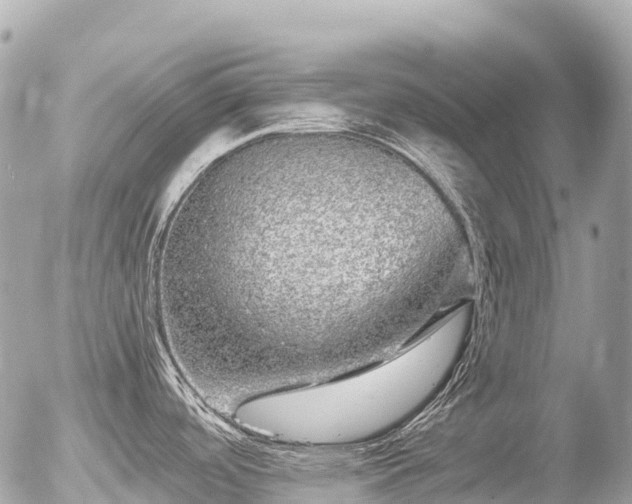 X0000055981488200508261646