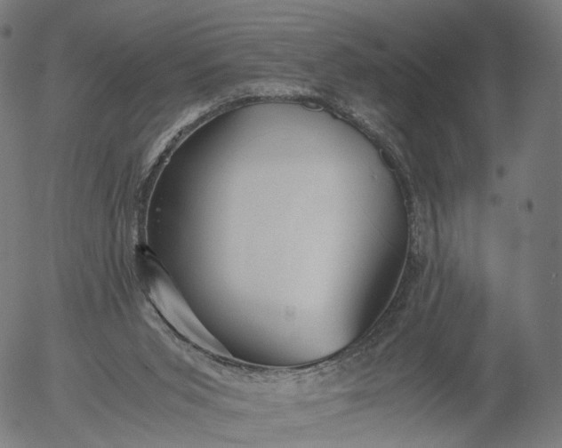 X0000055980015200509021624