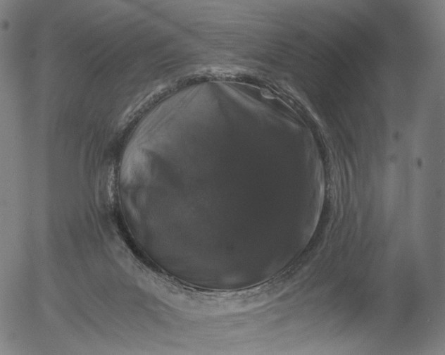 X0000055980023200509021624