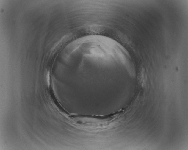 X0000055980027200509021624
