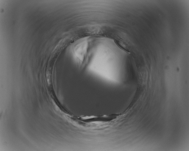 X0000055980035200509021624