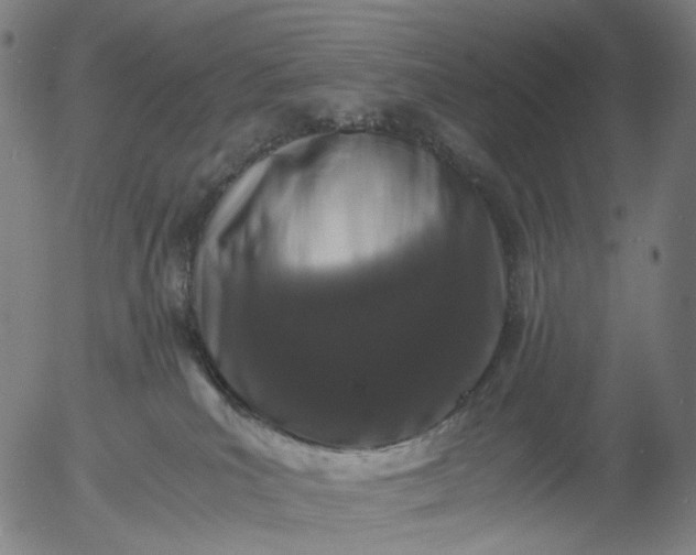 X0000055980039200509021624