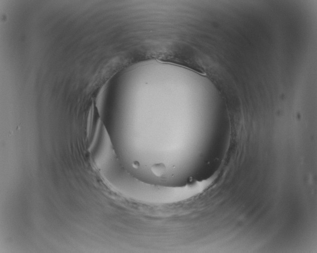 X0000055980041200509021624