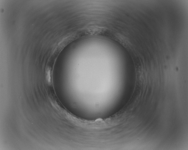 X0000055980042200509021624
