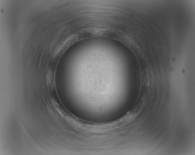 X0000055980044200509021624