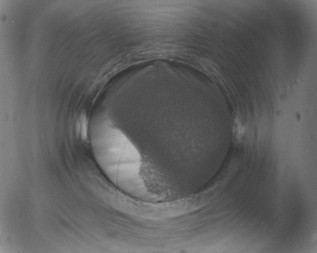 X0000055980046200509021624