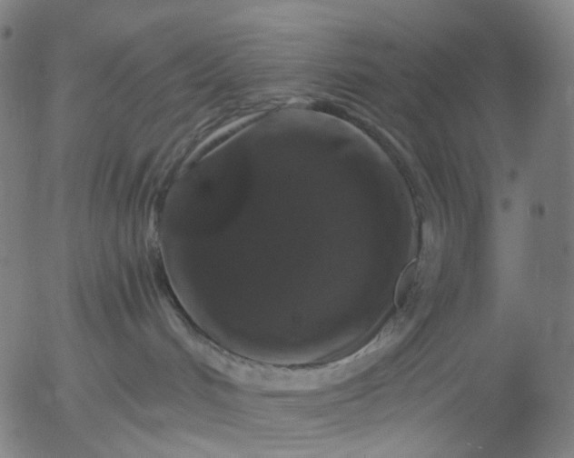 X0000055980048200509021624