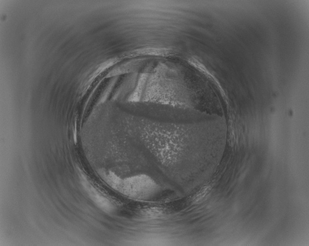 X0000055980062200509021623