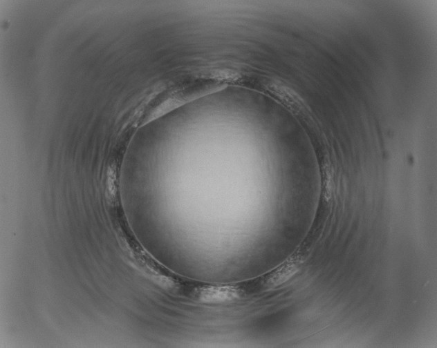 X0000055980077200509021623