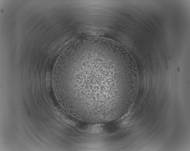 X0000055980078200509021623