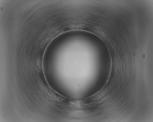 X0000055980079200509021623