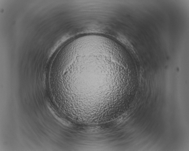 X0000055980108200509021623