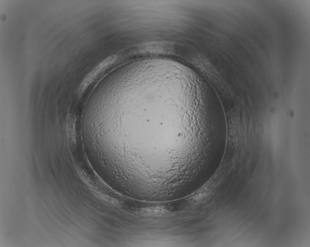 X0000055980112200509021622