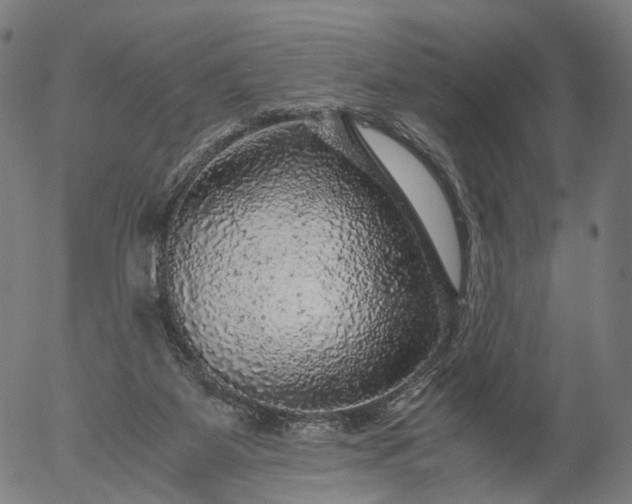 X0000055980115200509021622
