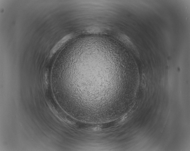X0000055980116200509021622