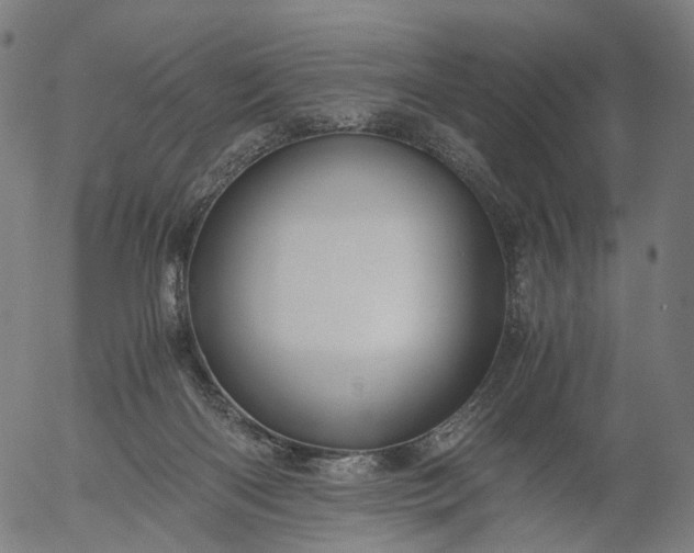 X0000055980122200509021622