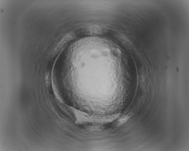 X0000055980123200509021622