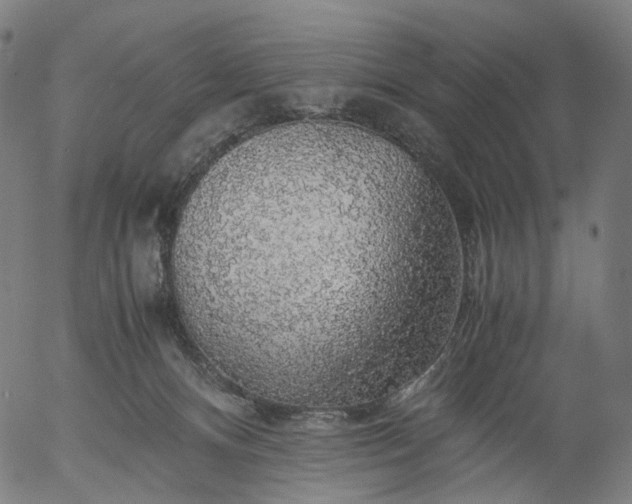 X0000055980128200509021622